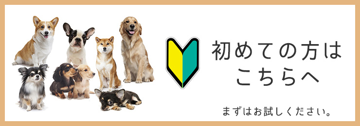 初めての方へ