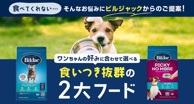 ファーストビュー